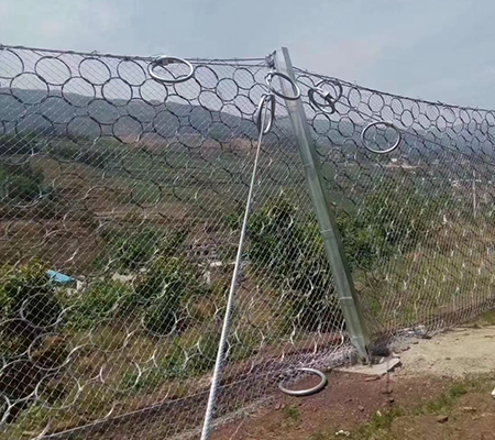 邊坡防護網(wǎng)廠
